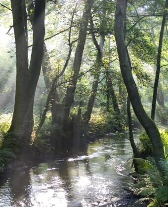 A peaceful retreat in the forests of the Northern Vosges with nature fresh air and scenic views all around.